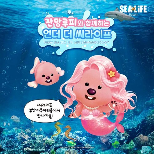 ★(대/소/비/성수기 공통) SEA LIFE 부산아쿠아리움 1일 입장권 (*당일사용불가)