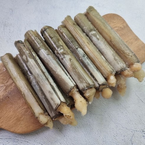 싱그러운 바다의 선물, 대맛조개의 매력 속으로! 대맛조개