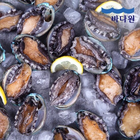 [바다원(주)] 바다원 산지직송 완도 활전복 1kg (20-22미 내외), 1개