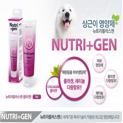 붐붐포 강아지 고슴도치 노즈워크 볼 장난감, 혼합색상, 1개 강아지유산균 13 도두랑 뉴트리젠 콜라겐 120g 강아지 영양제, 1개
