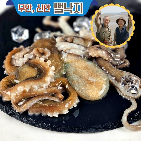 [낙지는 목포] 뻘낙지 목포 전라도 세발낙지 국산 산지직송 택배 볶음 탕탕이, 소뻘낙지(70g 내..., 10개 - 낙지 | 쿠팡