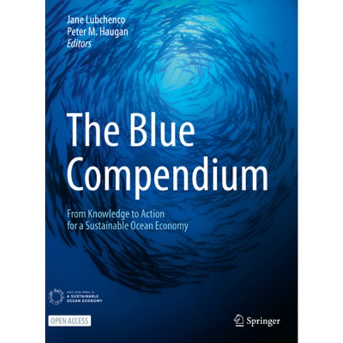 (영문도서) The Blue Compendium: From Knowledge to Action for a Sustainable Ocean Economy Hardcover, Springer, English, 9783031162763