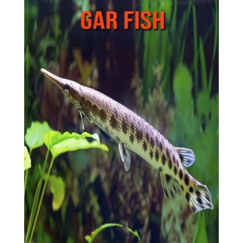 Gar Fish: Amazing Facts about Gar Fish Paperback, Independently Published, English, 9798550541388