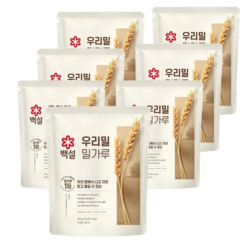 CJ 백설 우리밀 밀가루 750g 다목적용 부침 베이킹, 2개