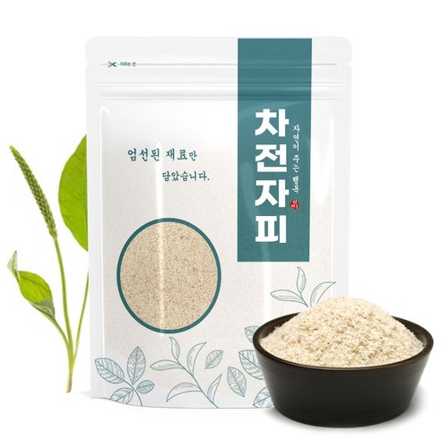 차전자피 분말 가루(거친입자)300g, 1개, 300g