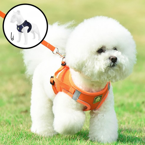 디아쿠아 강아지 고양이 겸용 바디 플러스 하네스+리드줄, 1개, 네이비