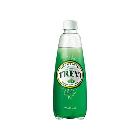 롯데칠성음료 트레비 라임 펫, 39개, 300ml