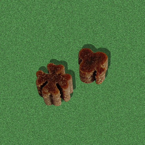 트럼펫 소프트클로버 이뮨부스터 소고기 강아지사료: 애완견의 건강과 활력을 위한 프리미엄 선택