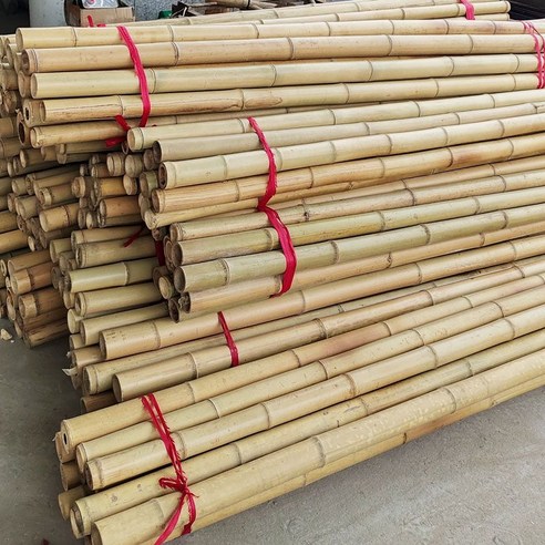 답답한 시선, 삭막한 공간, 대나무 울타리로 나만의 평온을 찾다 대나무울타리