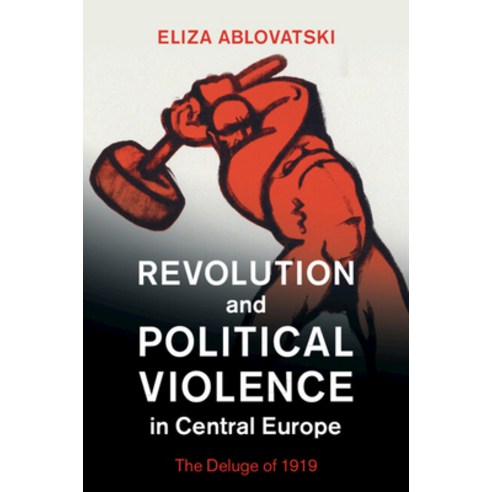 (영문도서) Revolution and Political Violence in Central Europe: The Deluge of 1919 Paperback, Cambridge University Press, English, 9781108978781