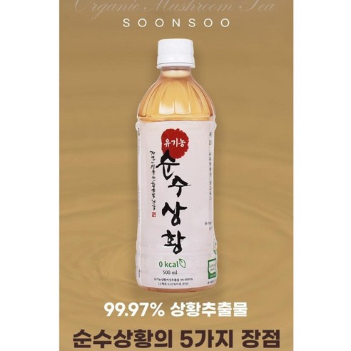 (20병) 전남 장흥 유기농 순수 상황 버섯 차 500ml 추출물 99% 제로칼로리 음료, 20개 차가버섯 효능