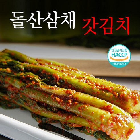 전라도 돌산 갓김치 고들빼기 배추 열무 총각 김치 특별한 삼채김치, 3kg, 1개, 3kg