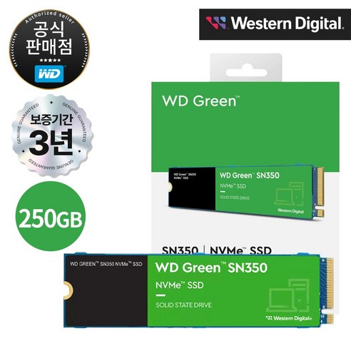 WD GREEN SN350 M.2 NVMe SSD 250GB, 단품