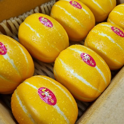 여름철의 달콤한 즐거움, 성주 참외