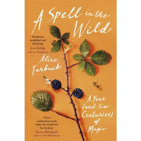 (영문도서) A Spell in the Wild: A Year (and Six Centuries) of Magic Paperback, Two Roads, English, 9781529380866