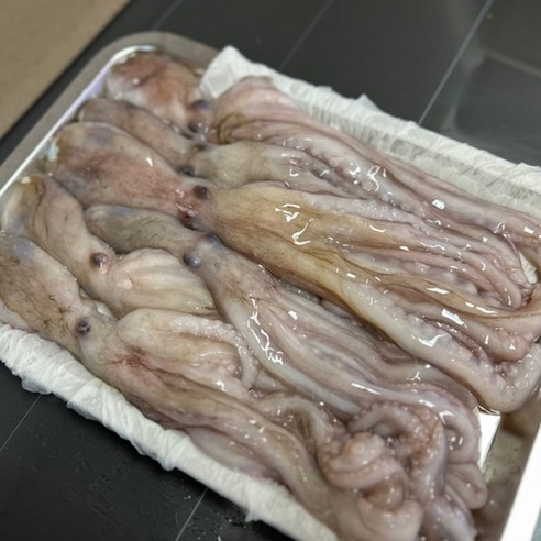 수입산 급냉 낙지 1kg (6미 내외), 1개