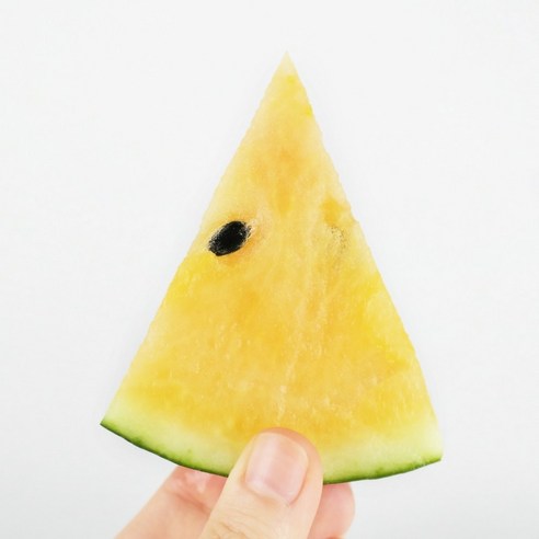산지직송 고창 스테비아급 고당도 미니 망고수박, 1.4~2kg, 1개