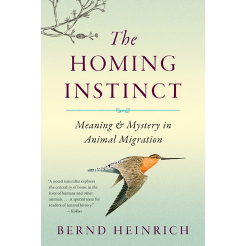 (영문도서) The Homing Instinct: Meaning and Mystery in Animal Migration Paperback, Mariner Books, English, 9780544484016