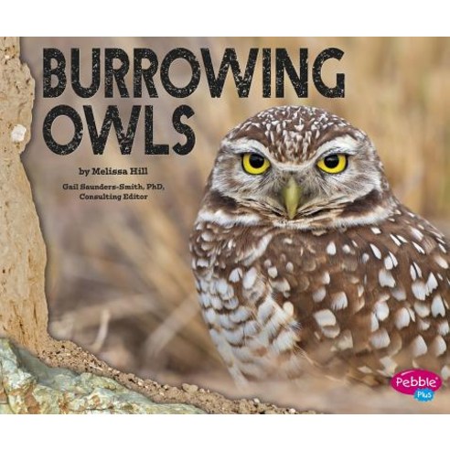Burrowing Owls Paperback, Capstone Press