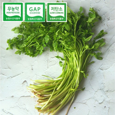 당일수확 무농약 GAP 인증 지리산 맑은물 세척 미나리 봄나물 1kg, 1박스