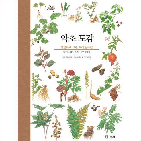 약초 도감 - 자연도감 | 쿠팡