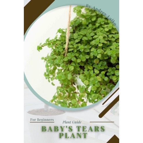 (영문도서) Baby''s Tears plant: Prodigy Petal Plant Guide Paperback, Independently Published, English, 9798387875236