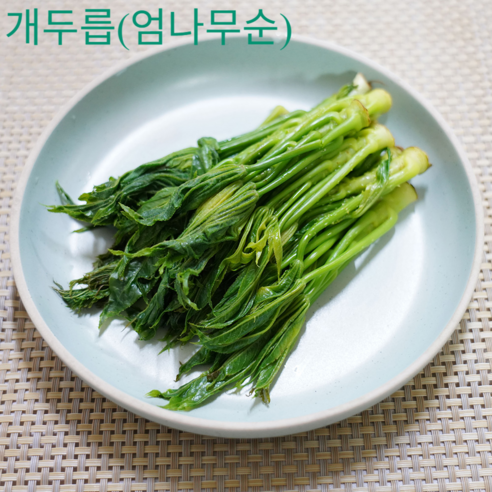 [국내산] 봄이 주는 귀한 선물 두릅의 왕 개두릅(엄나무순) 1kg