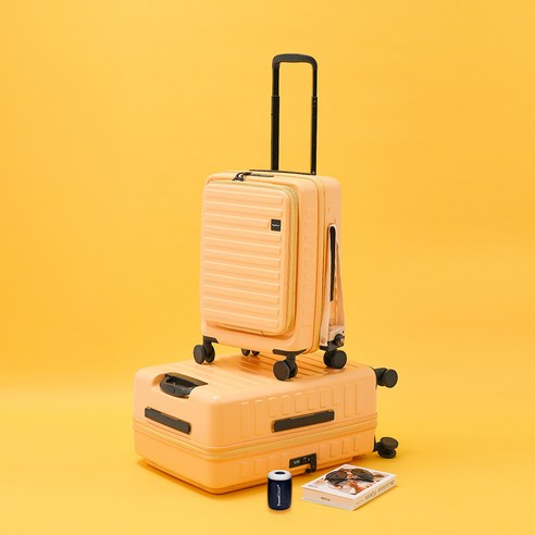 완벽한 여행 동반자