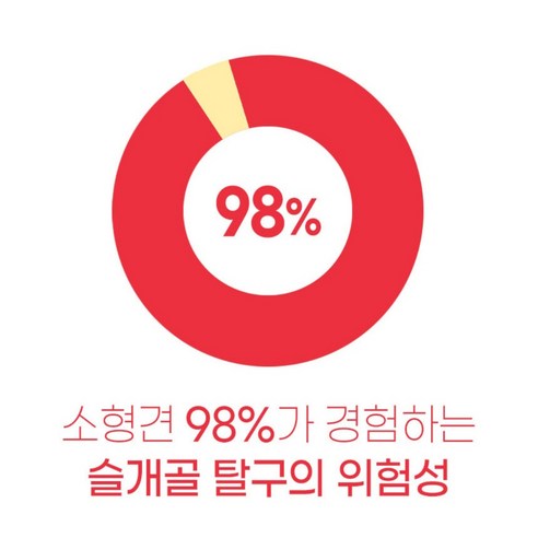 강아지 관절 영양제