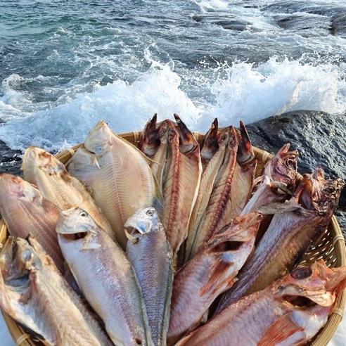 속초 (산지직송) 반건조생선 골라담기 임연수 볼락 참돔 민어 열기 가자미 우럭 고등어 양미리 박대 서대 구이 말린, 옵션19. 반건조 뽈락(포), 1개