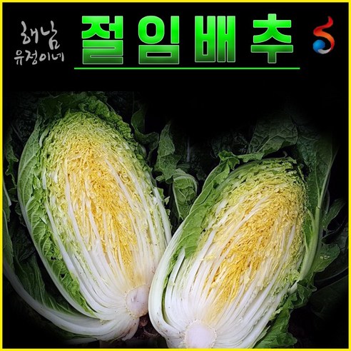 해남 유정이네 절임배추 [배송예정일 도착], 출발일4, 10kg