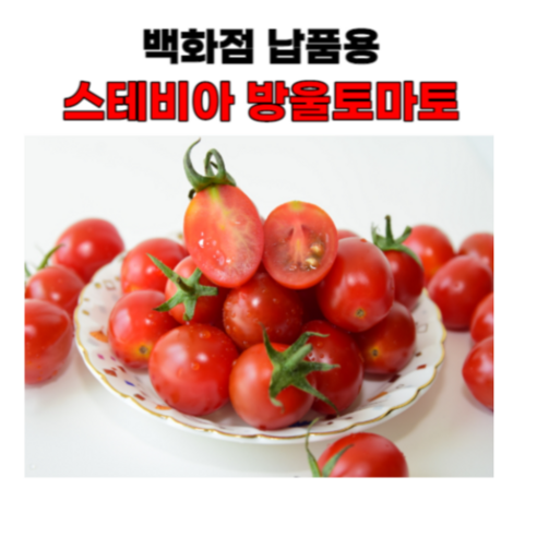 스테비아 방울 토마토 샤인마토 애플 토망고 2kg, 4개, 500g