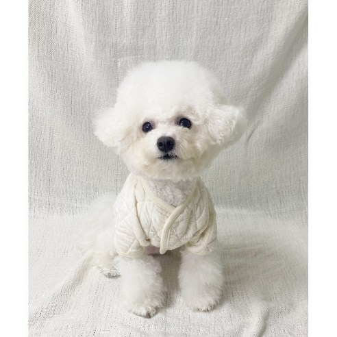 스타일독 강아지옷 누빔 깔깔이 가디건, S, 크림, 1개