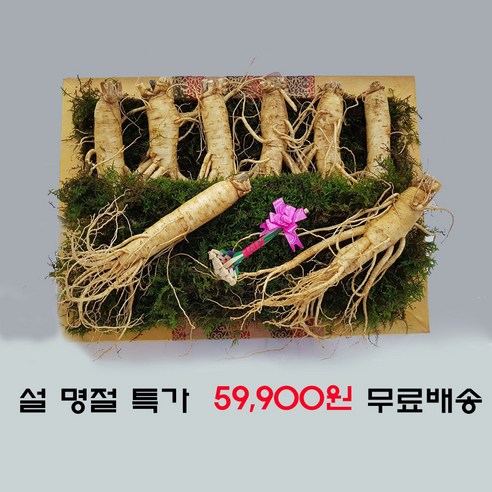 수삼선물세트 금산인삼 고마운분께 드리는 감사의 선물 수삼선물세트 특대 750g 7~9뿌리, 세척안함