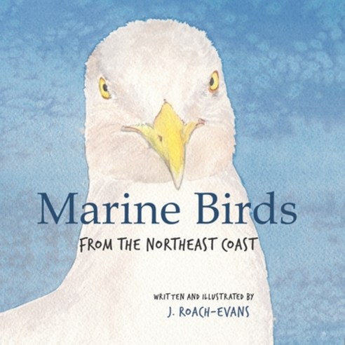 (영문도서) Marine Birds: from the Northeast Coast Paperback, Pickerel Publishing, English, 9781734153217