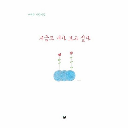 지금도 네가 보고 싶다 나태주 사랑시집, 상품명