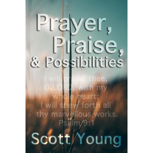 (영문도서) Prayer Praise and Possibilities: A Look at God''s Goodness Paperback, Independently Published, English, 9781790401697
