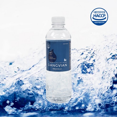 댕비앙으로 반려견의 건강과 행복을 지키세요