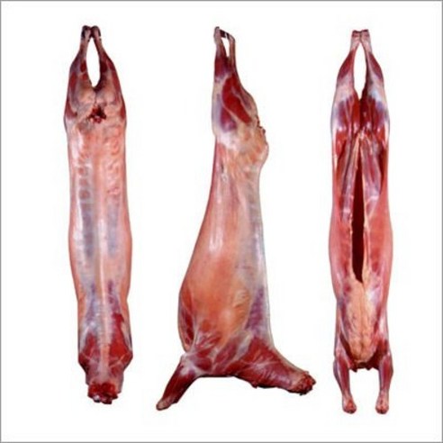 신선하고 풍미있는 호주산 껍데기없는 염소 고기