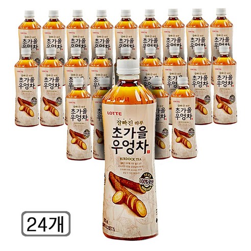 롯데칠성음료 잘빠진 하루 초가을 우엉차
