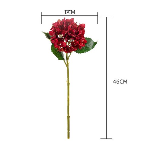 알뜰조화 미녀 수국 한 자루 47cm, 그린