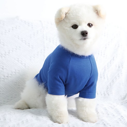 럭키페터 무지 강아지 옷 소형견 대형견 티셔츠, 블루