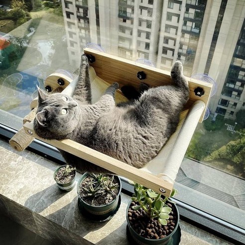 고양이를 위한 안락한 창문 휴식 공간