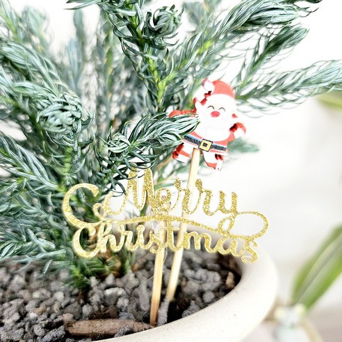 당신의 공간에 생명을 불어넣다