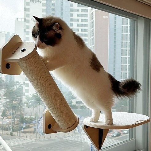 펫로지 고양이용 창문에 매달아 사용하는 원목 캣타워, 계단형 고양이 용품