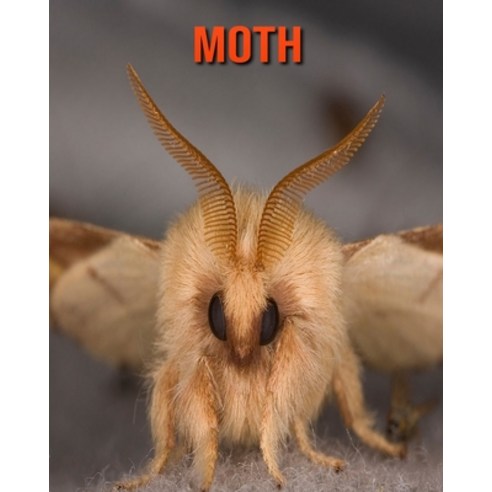Moth: Amazing Facts about Moth Paperback, Independently Published, English, 9798551178415