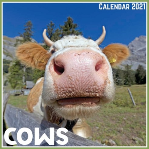 Cows Calendar 2021: Official Cows Calendar 2021 12 Months Paperback, Independently Published, English, 9798727208380