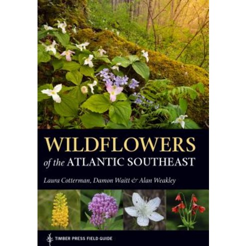Wildflowers of the Atlantic Southeast Paperback, Timber Press (OR), English, 9781604697605