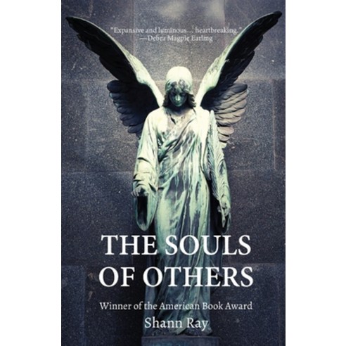 (영문도서) The Souls of Others Paperback, Unsolicited Press, English, 9781956692006