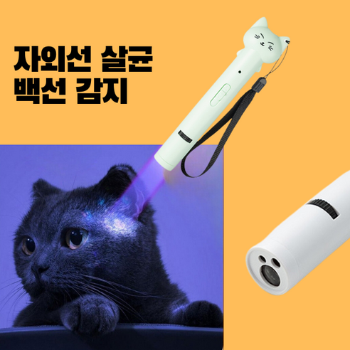 고양이와의 유대감을 깊게 하는 최고의 장난감